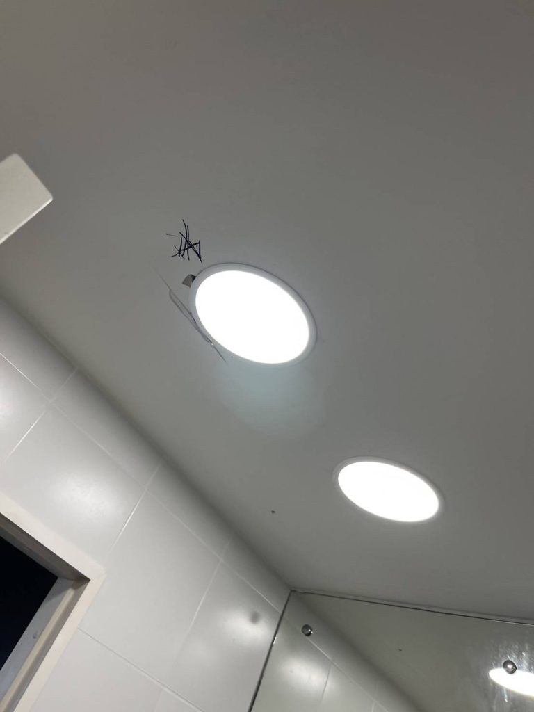 ดาวน์ไลท์