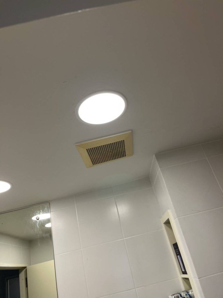 ดาวน์ไลท์