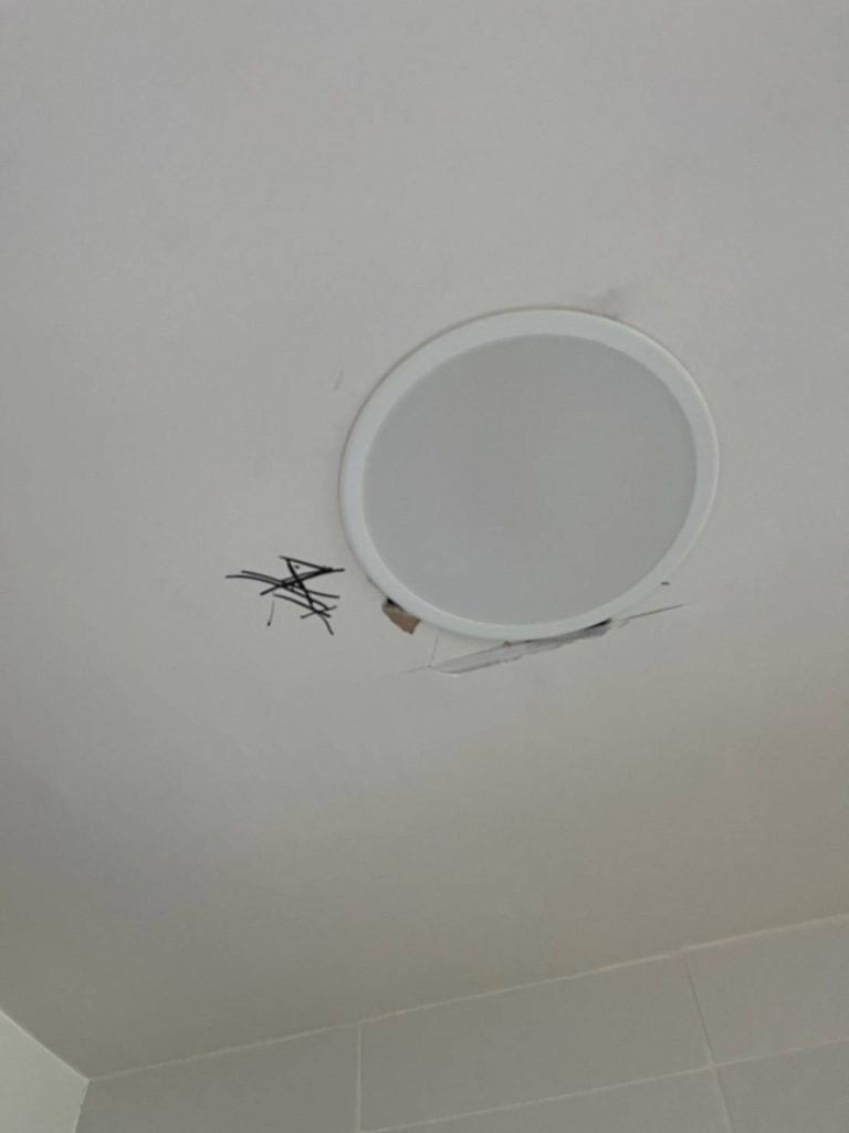 ดาวน์ไลท์