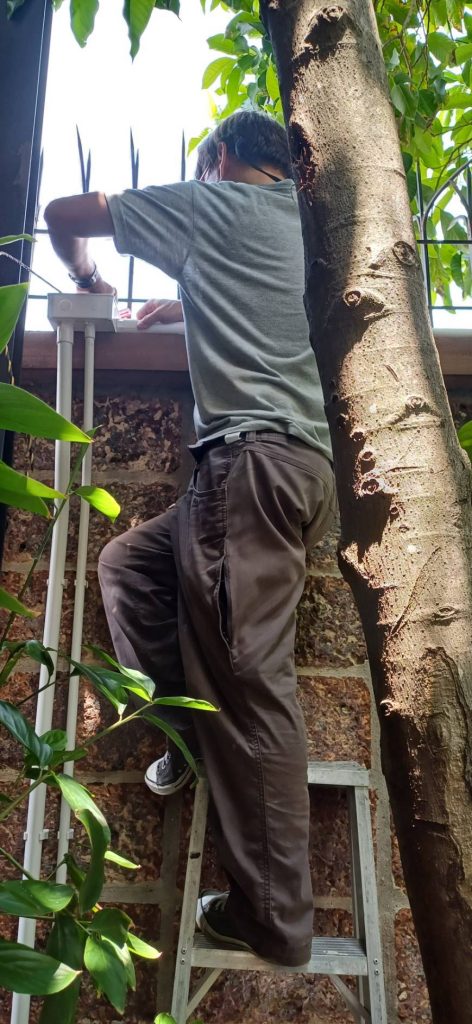 เดินท่อร้อยสาย