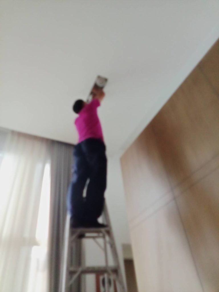 ตรวจเช็กดาวน์ไลท์