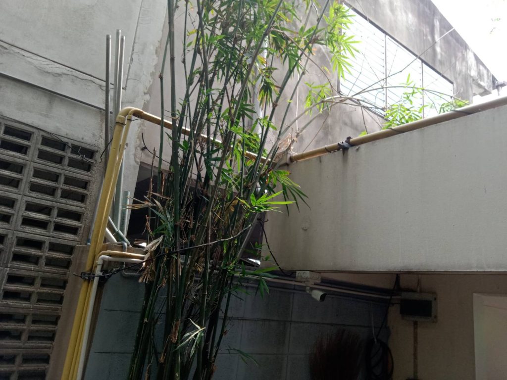 แนวท่อสายไฟ