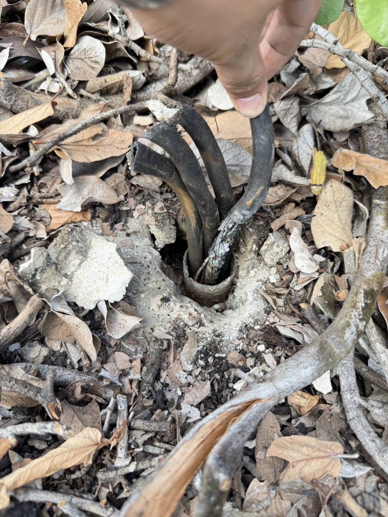 สายไฟช็อตไหม้ในท่อร้อยสายไฟ