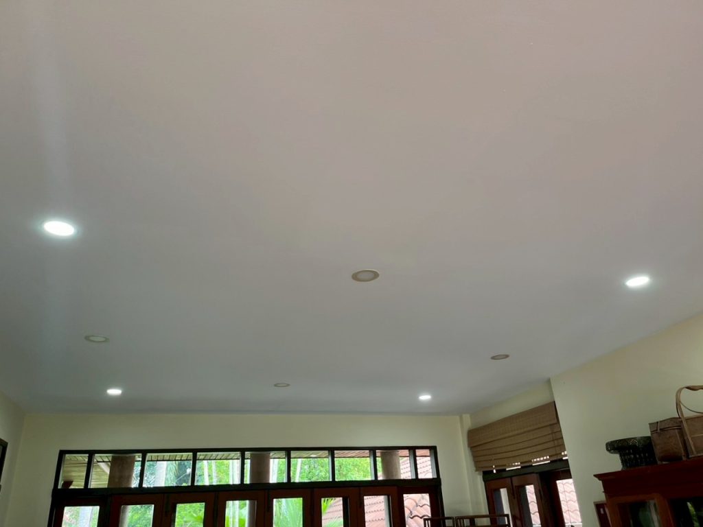 ดาวน์ไลท์