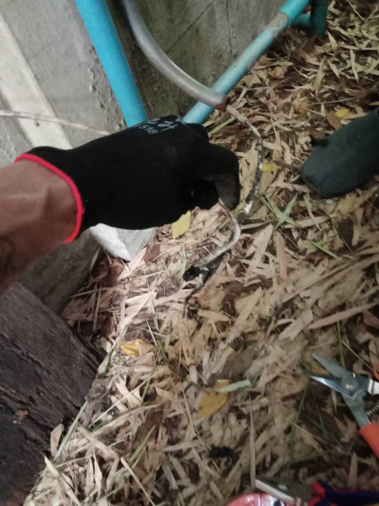 สายไฟช็อต