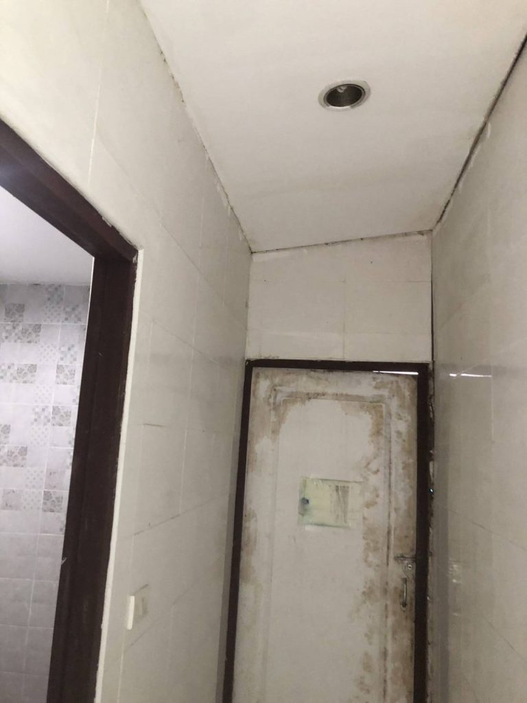 ดาวน์ไลท์