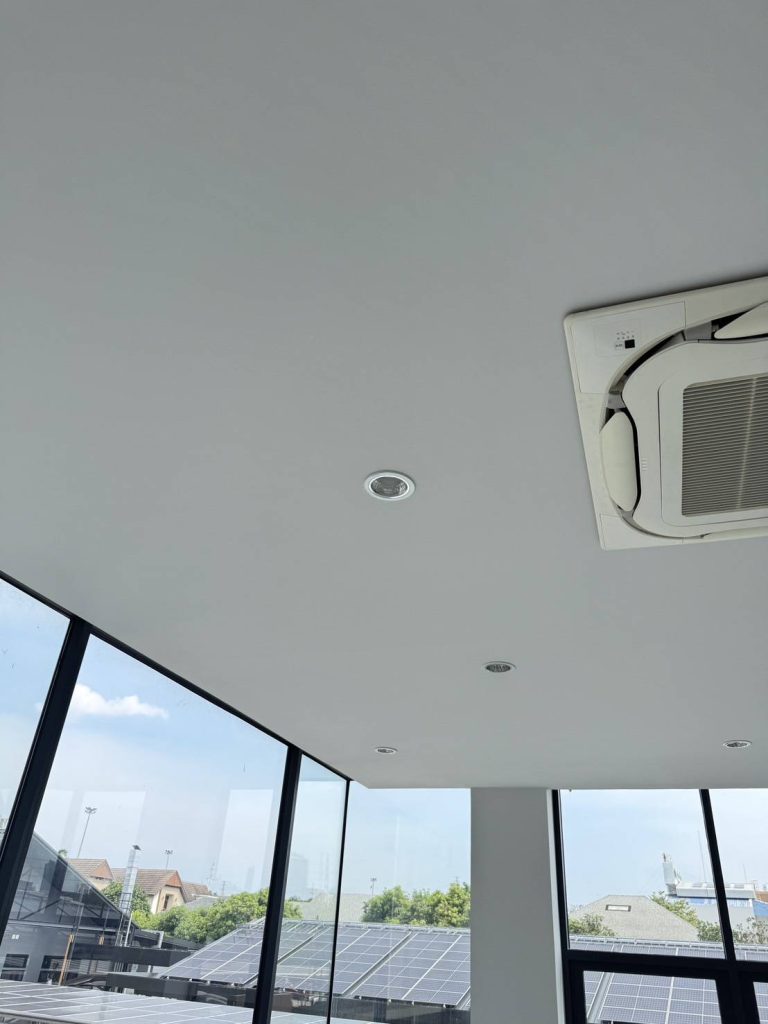 ดาวน์ไลท์