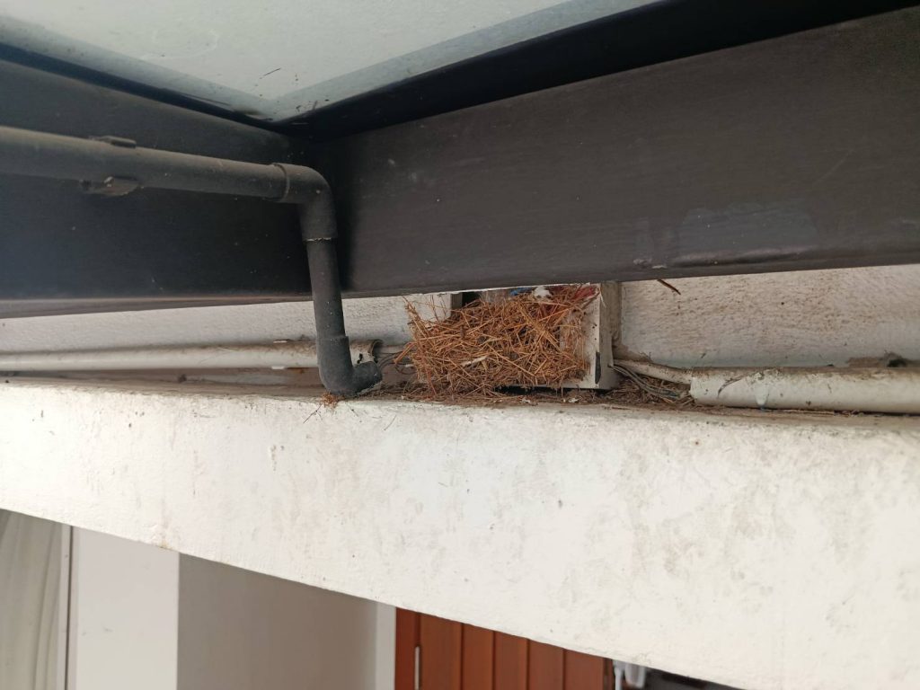 กล่องพักสายไฟมีสัตว์เข้าไปทำรัง