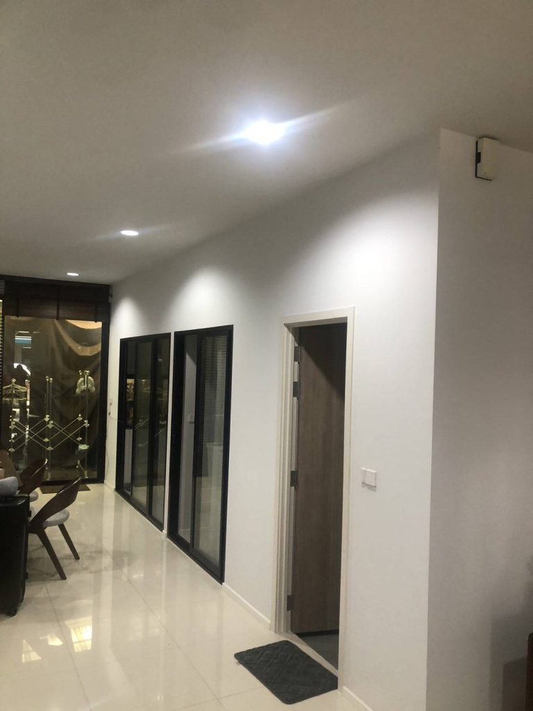 ดาวน์ไลท์