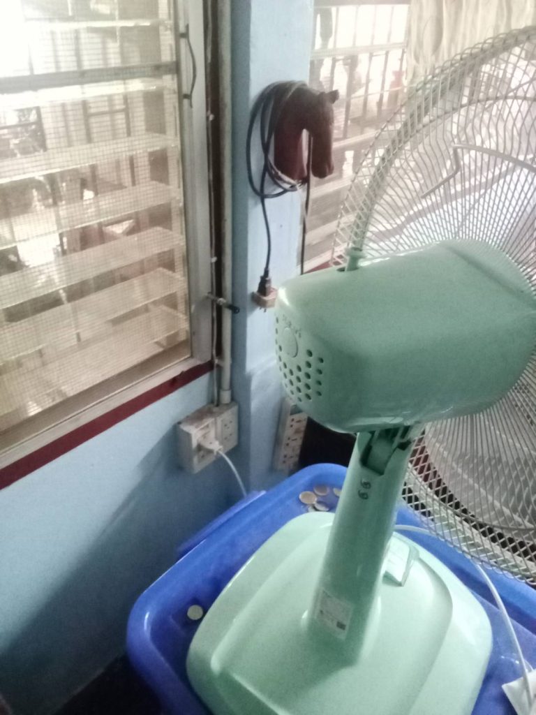 ปลั๊กไฟและพัดลม