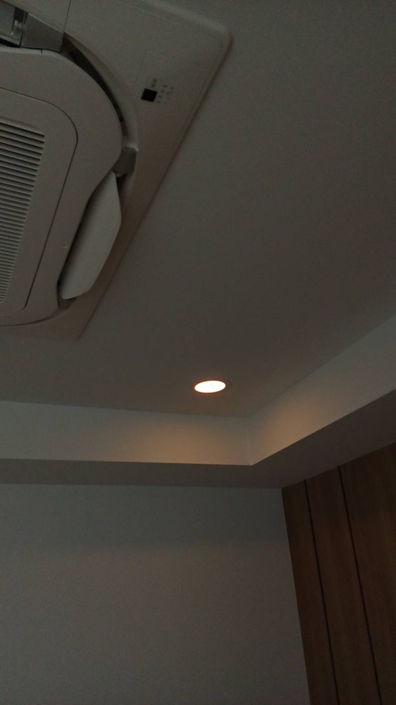 ดาวน์ไลท์