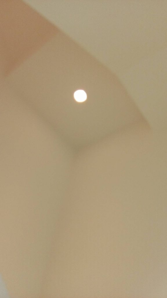 ดาวน์ไลท์