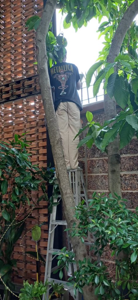 เดินท่อร้อยสายไฟ