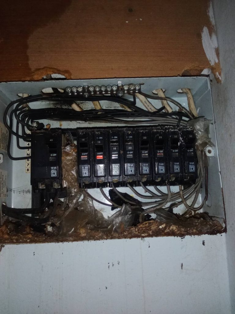 สัตว์เข้าไปทำรังในตู้คอนซูมเมอร์สาเหตุที่ทำให้เกิดไฟซ็อตไหม้