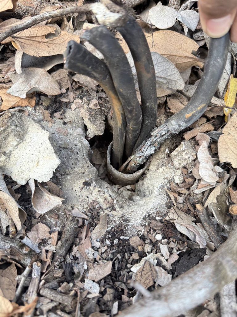 สายไฟช็อตไหม้ในท่อร้อยสายไฟ