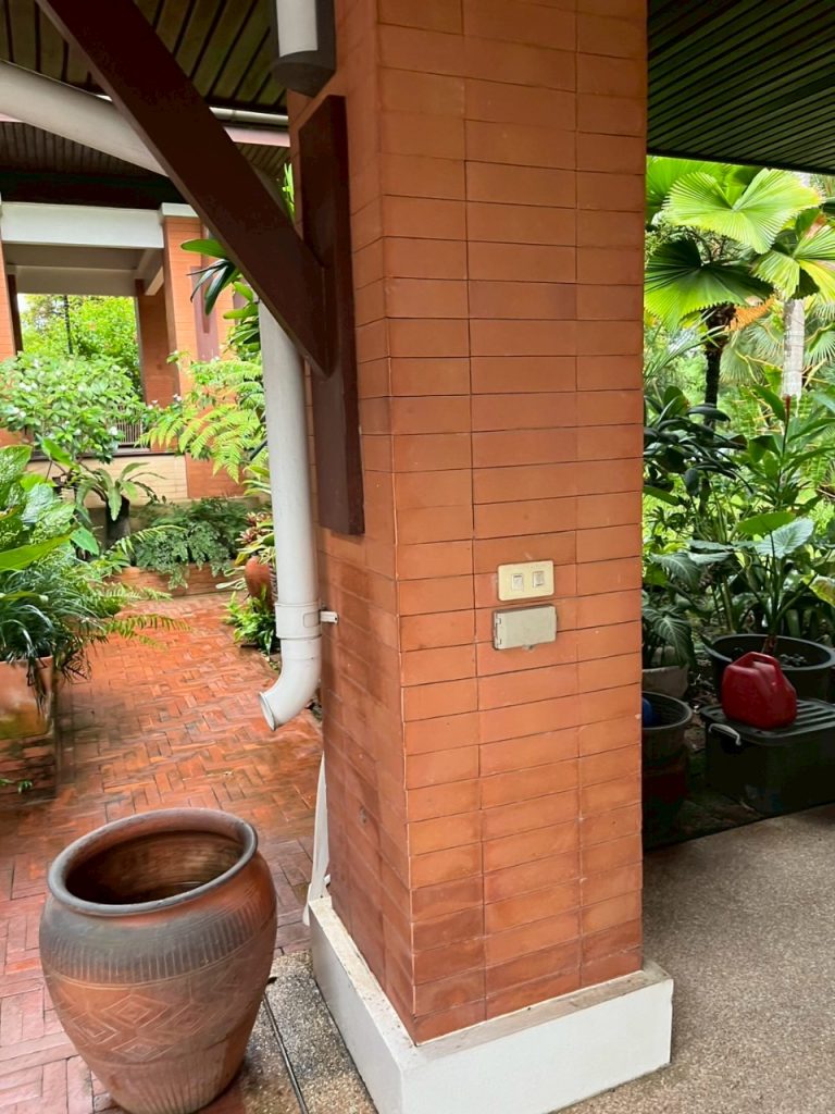 ปลั๊กและสวิตช์