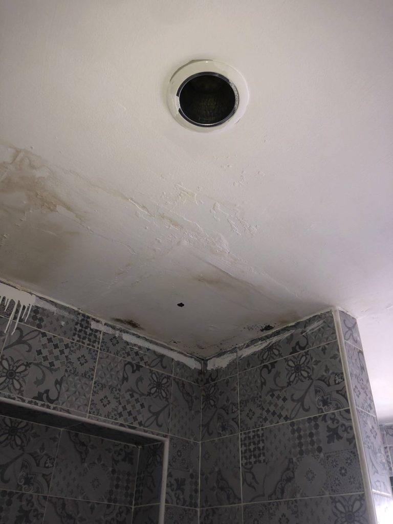 ตรวจเช็กดาวน์ไลท์