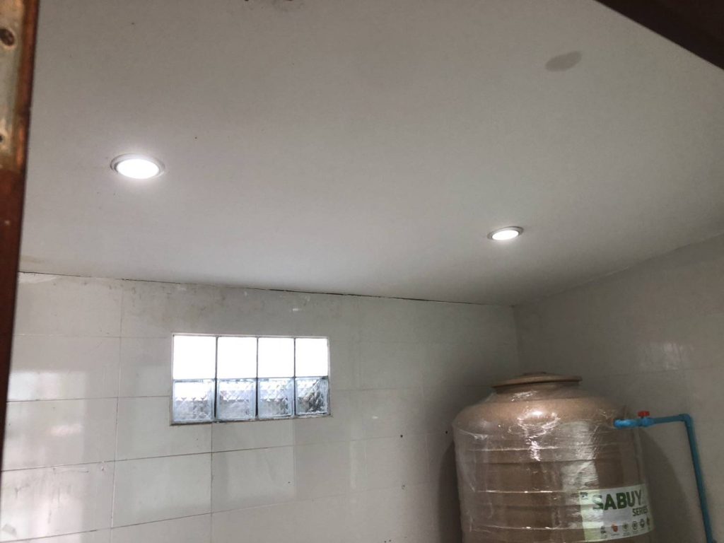 ดาวน์ไลท์