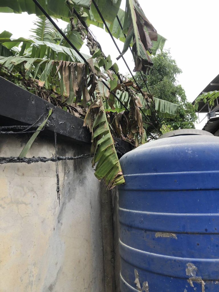 แนวสายไฟช็อตไหม้