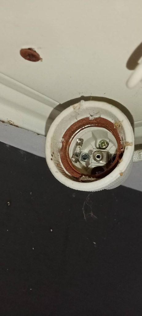 ขั้วหลอดไฟ