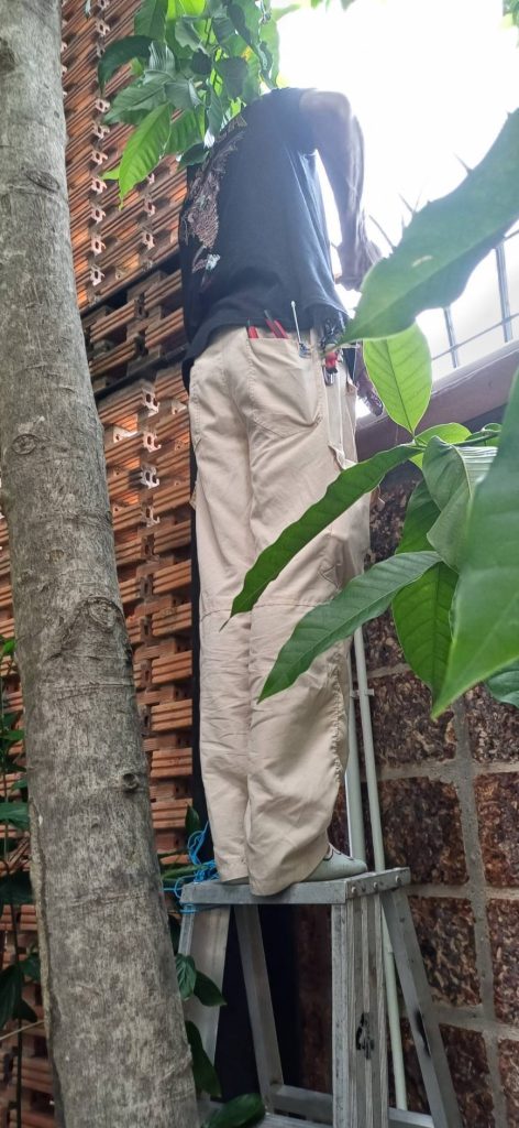 เดินสายไฟ