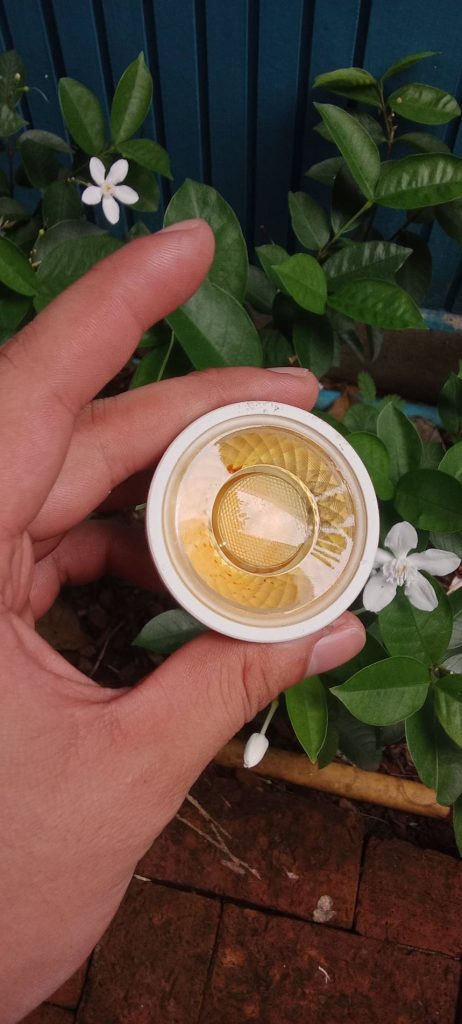 โคมไฟแต่งสวน