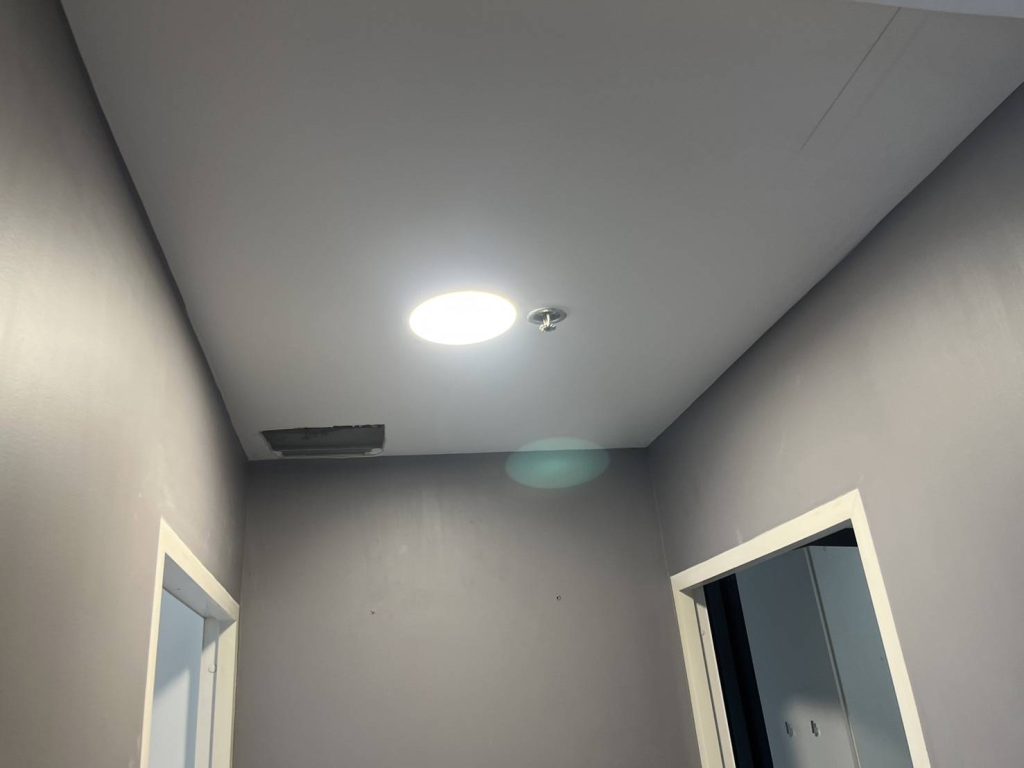 ดาวน์ไลท์