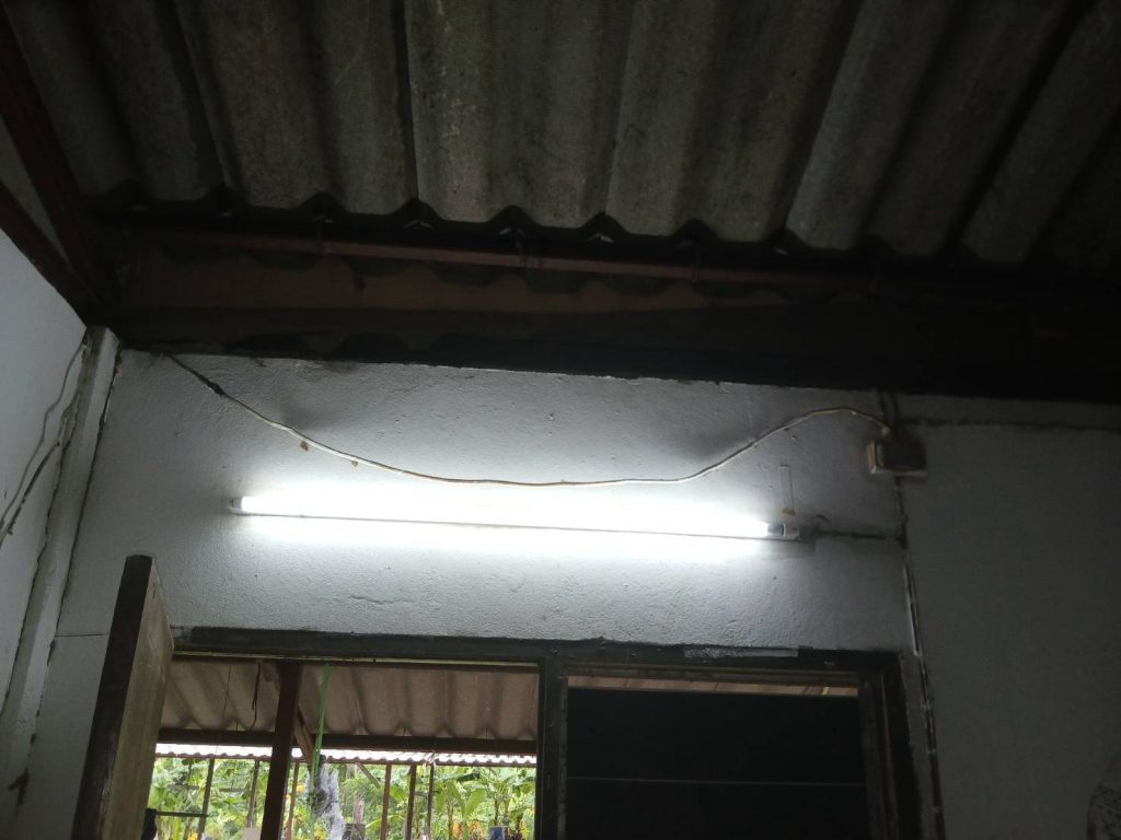 หลอดฟลูออเรสเซนส์