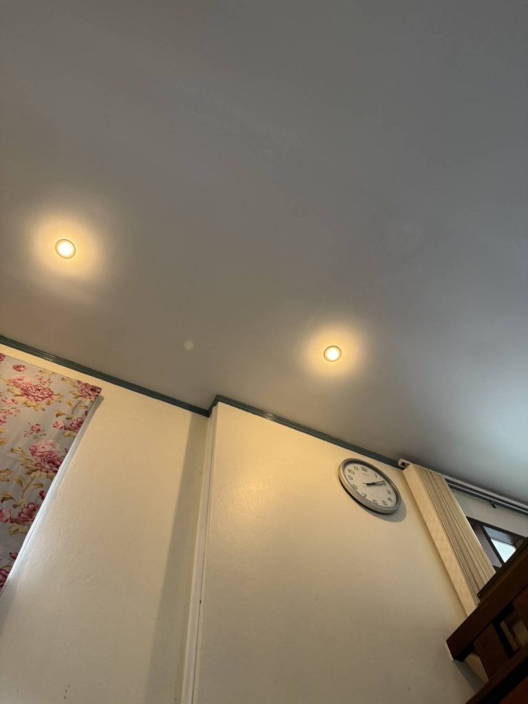 ดาวน์ไลท์