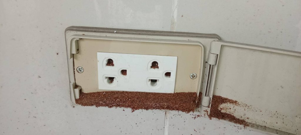 ปลั๊กไฟ