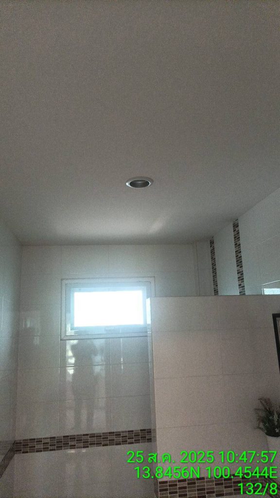 ดาวน์ไลท์