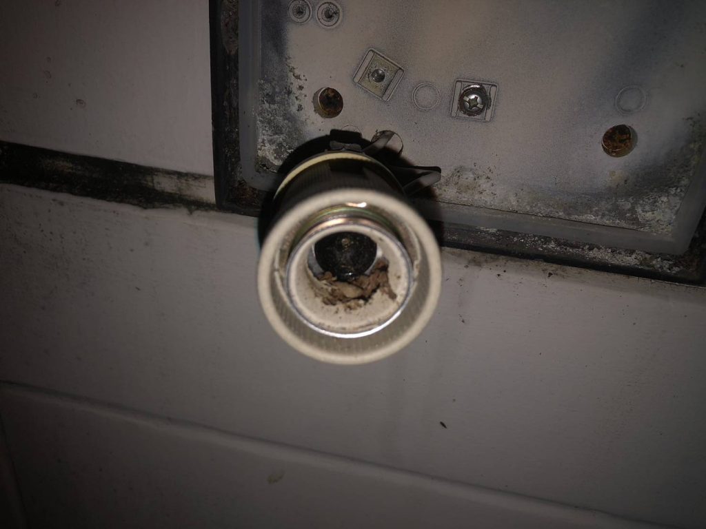 ขั้วหลอดไฟ