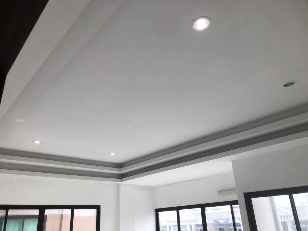 ดาวน์ไลท์