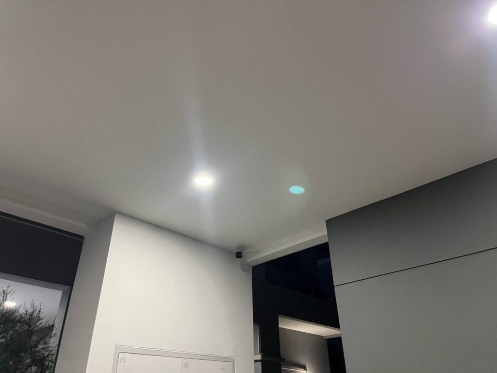 ดาวน์ไลท์