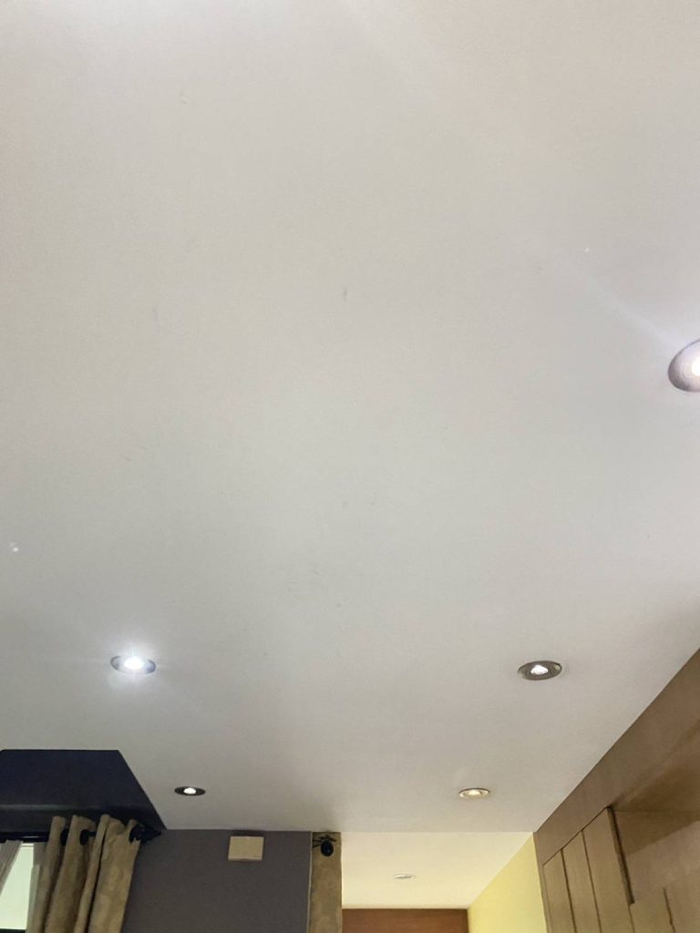 ดาวน์ไลท์