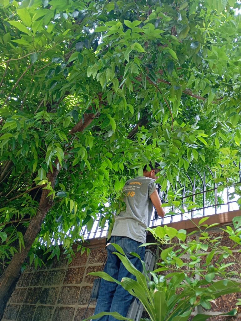 เดินท่อร้อยสาย