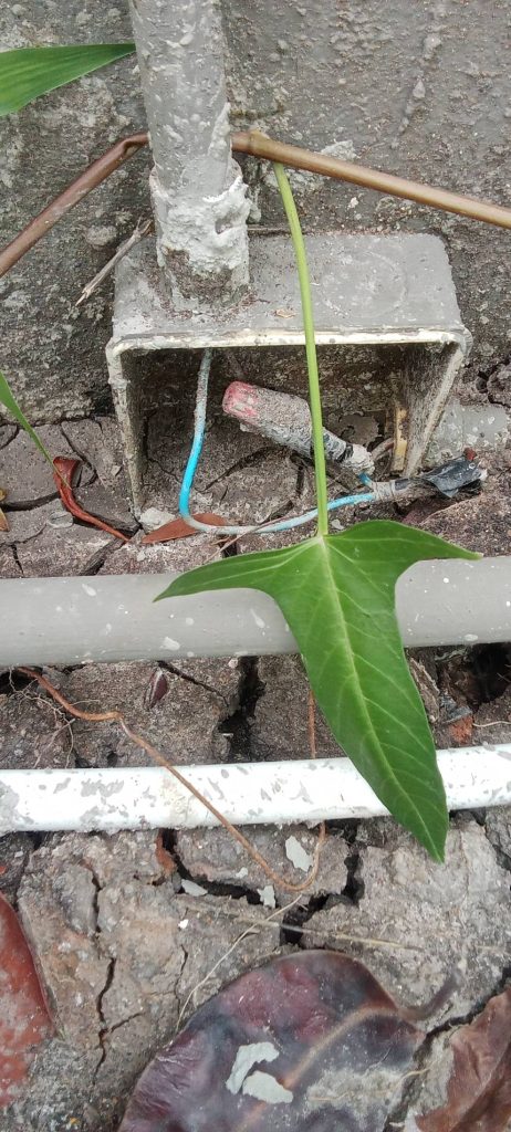 กล่องพักสายชำรุด