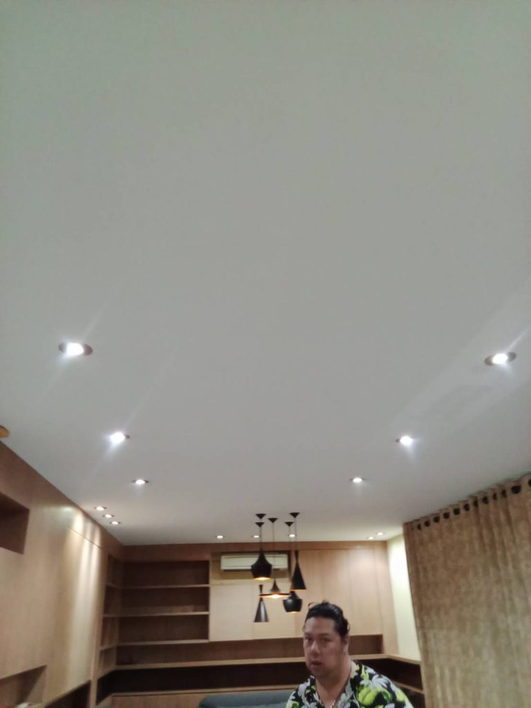 ดาวน์ไลท์