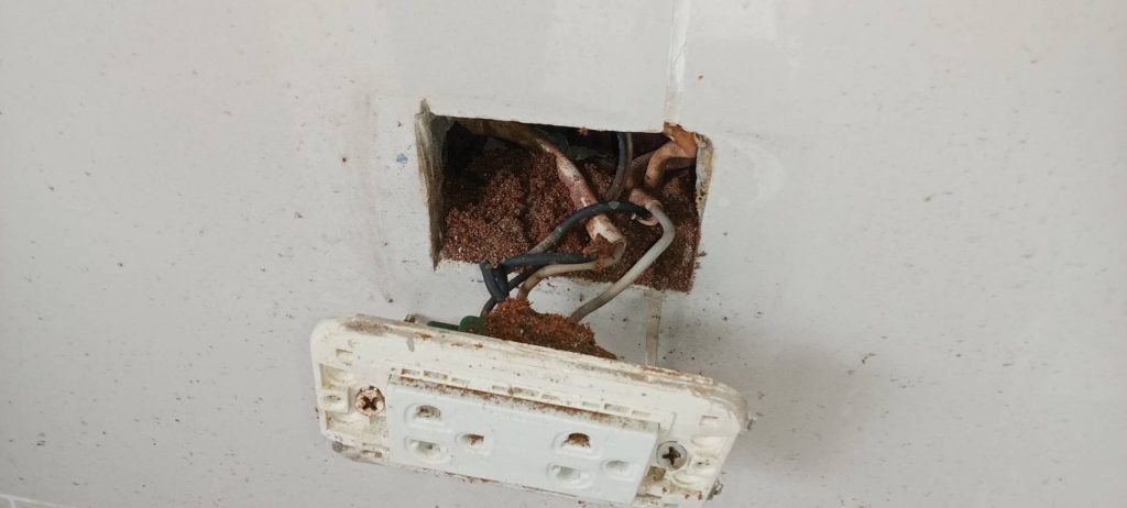 ปลั๊กไฟ