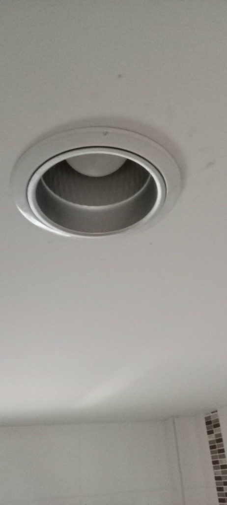 ดาวน์ไลท์