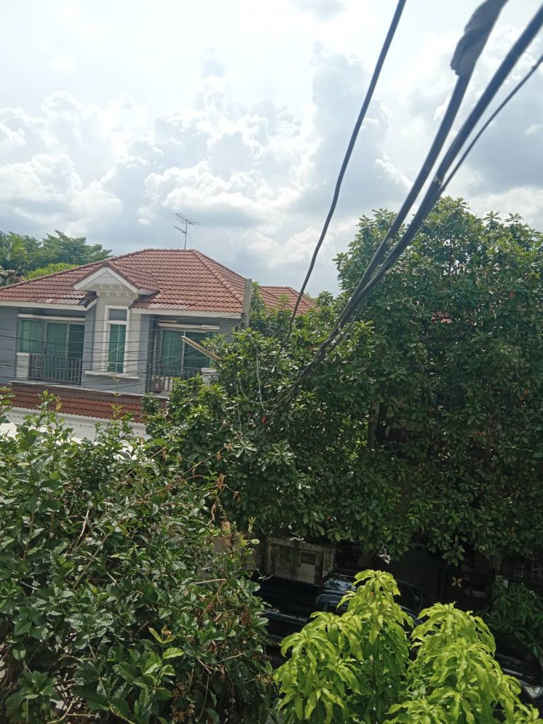 แนวสายเมน