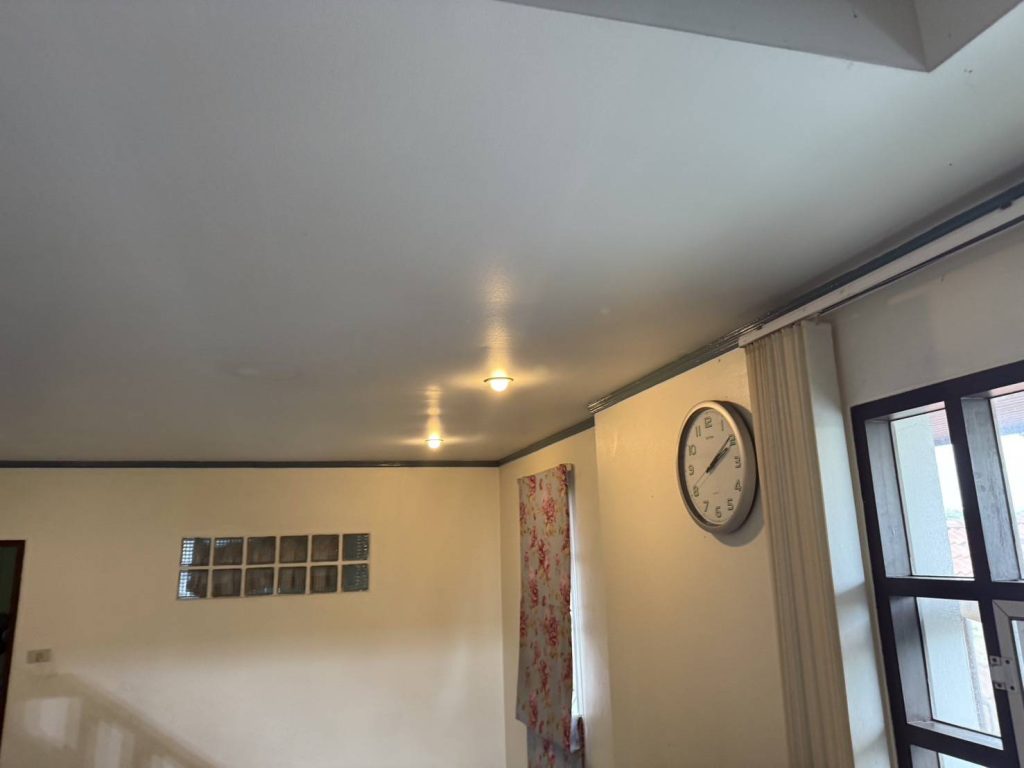 ดาวน์ไลท์