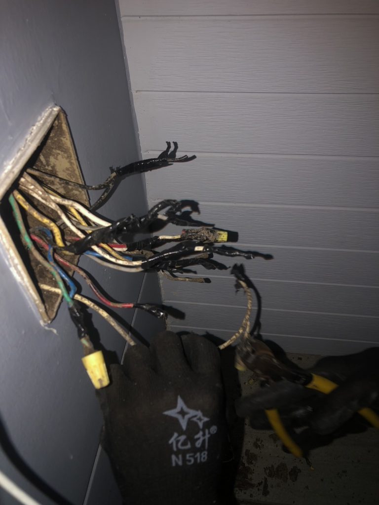 ซ่อมสายไฟในกล่องรวมสายไฟที่ปลวกทำรัง