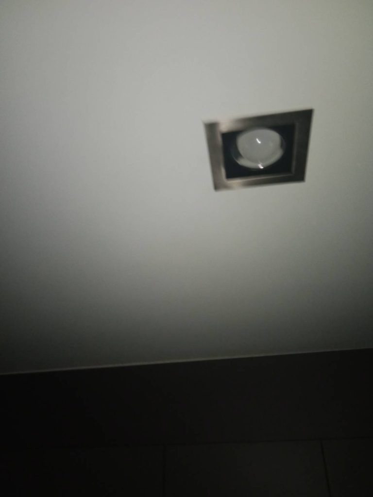 ดาวน์ไลท์