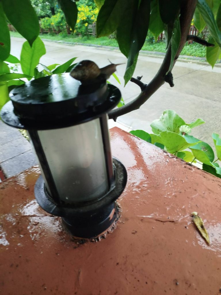 โคมไฟหัวเสา